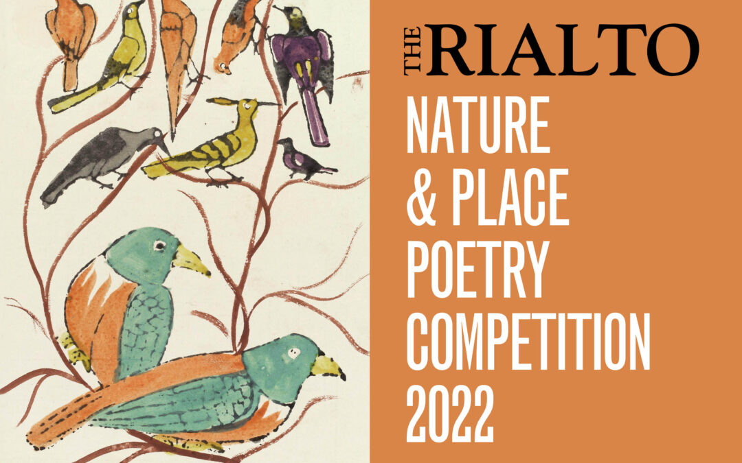 Nature and Place 2022 winners announced