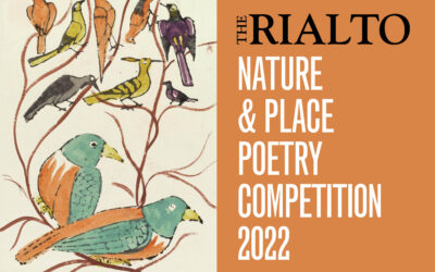 Nature and Place 2022 winners announced