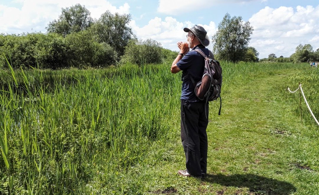 A Day At Wicken Fen